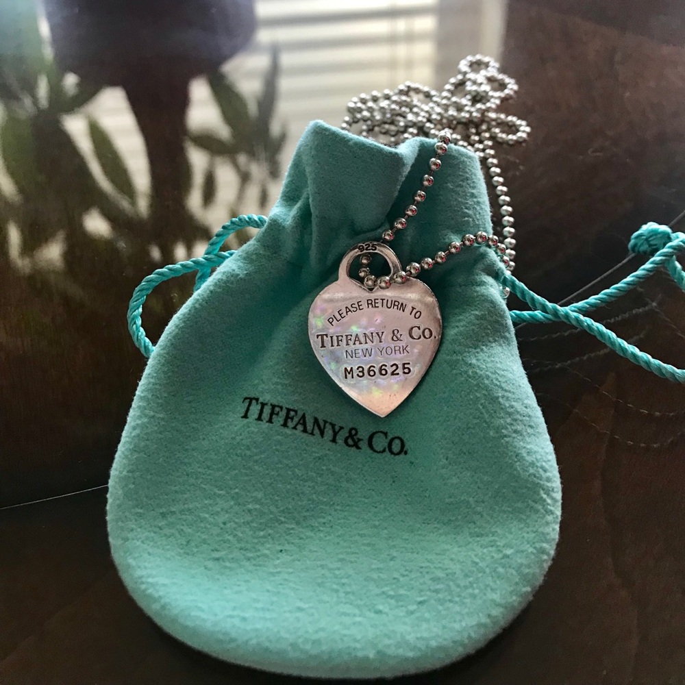 Tiffany and Co. Long Chain Necklace